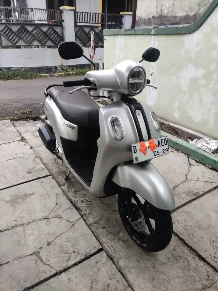 Fazzio Lux 2024
