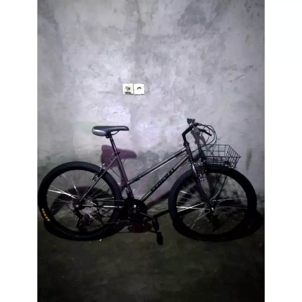 Commuter bike lady 26