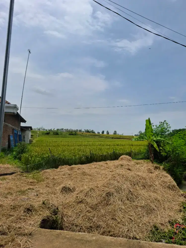 Dijual Sawah Produktif