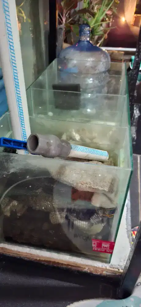 Aquarium + Chamber + Meja Besi