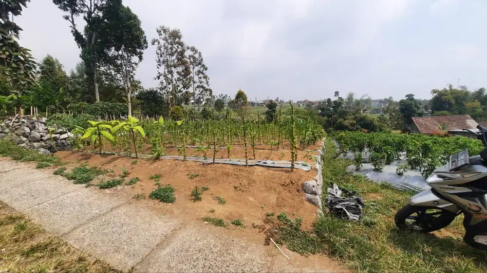 Tanah strategis di kecamatan bansari temanggung