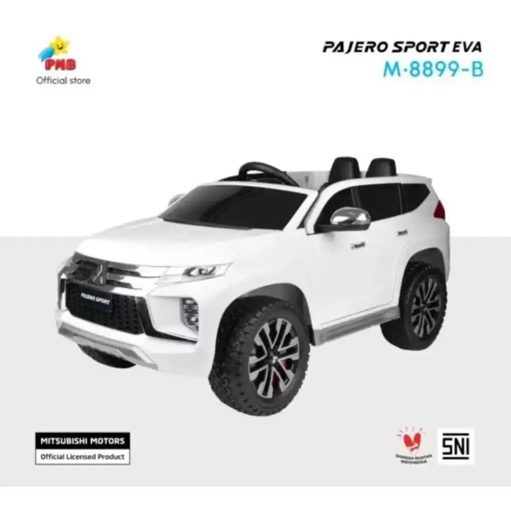 Mobil Aki PMB Ban Eva