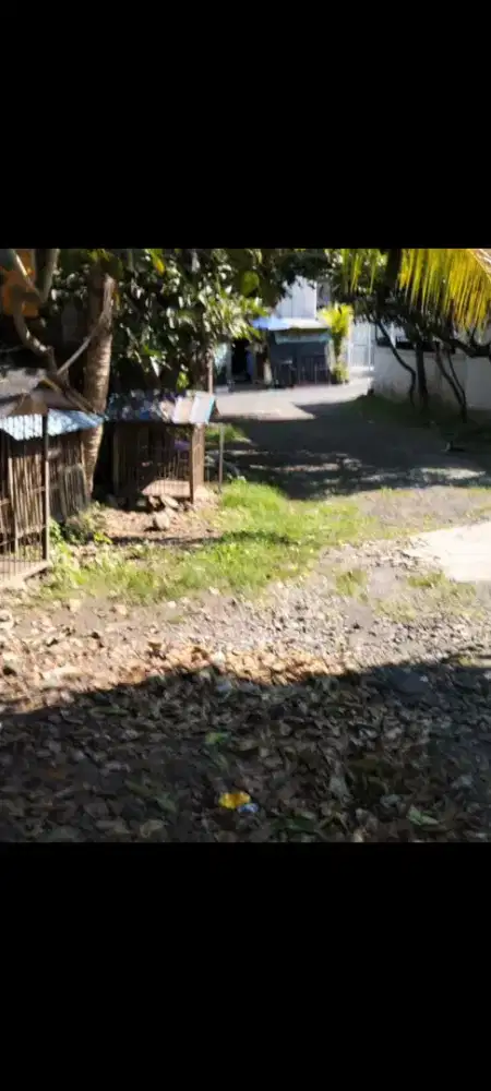 Disewakan tanah 14,05 are di ubung dekat gatsu barat denpasar bali