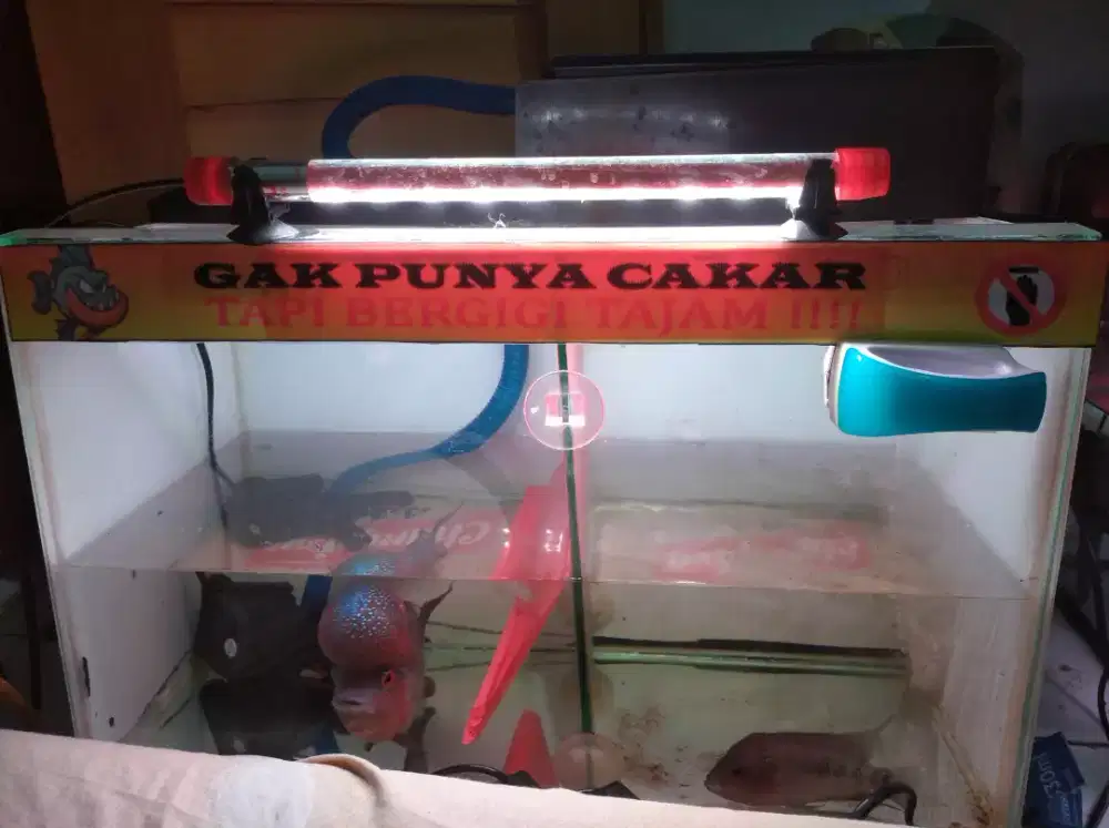 Aquarium plus Filter
