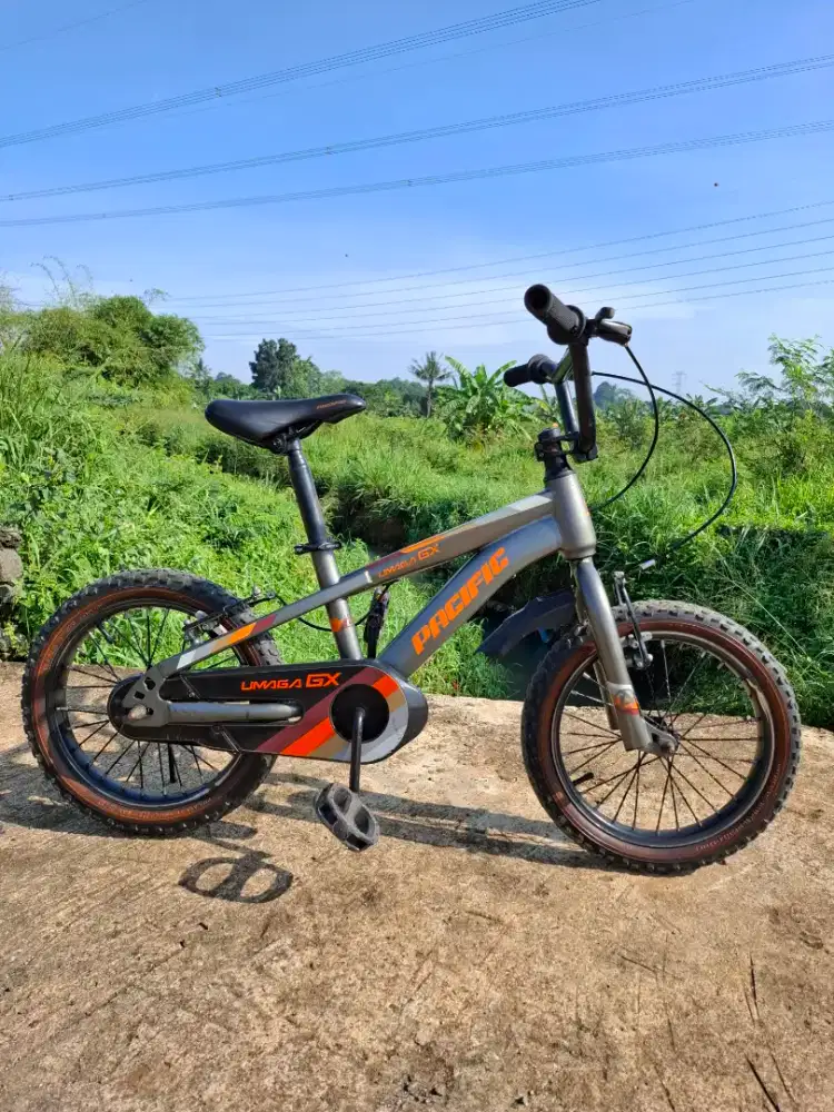 Sepeda anak 16, kondisi sangat terawat. Ban tebal.siap pakai