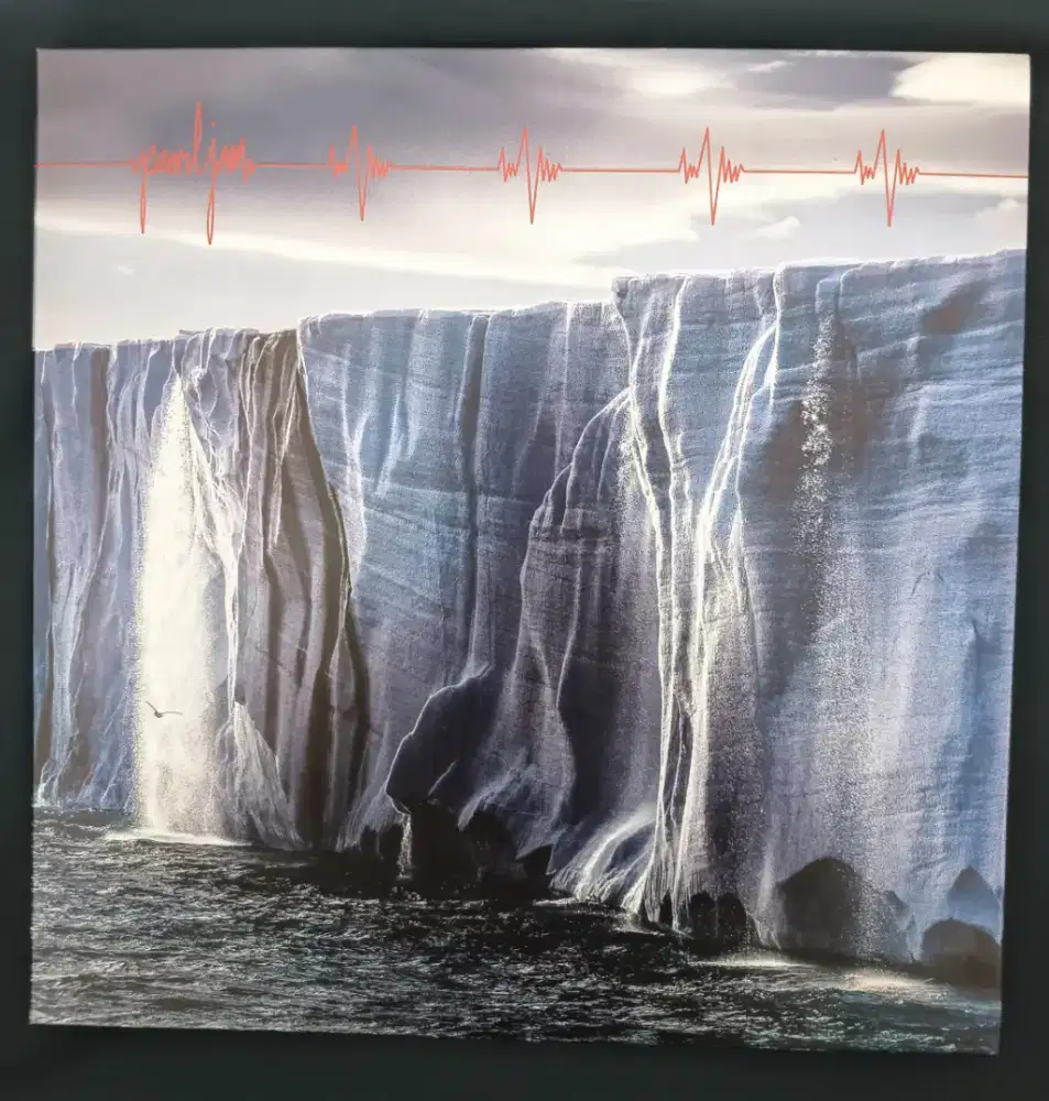 Vinyl Pearl Jam - Gigaton