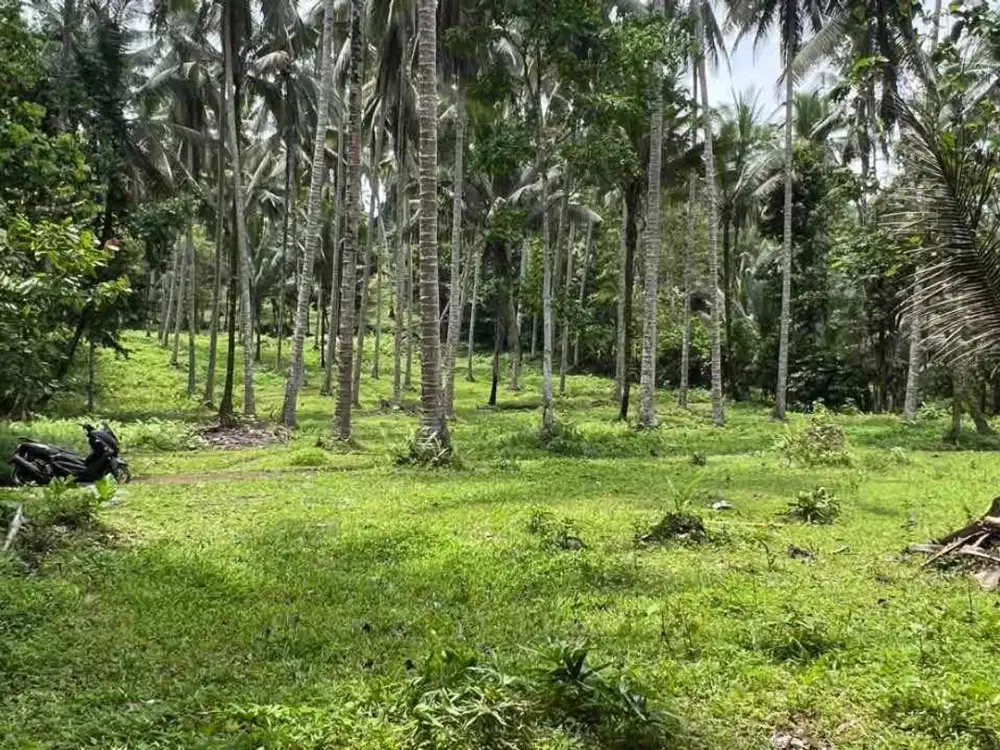 Di jual tanah luasan kecil los sungai conture datar