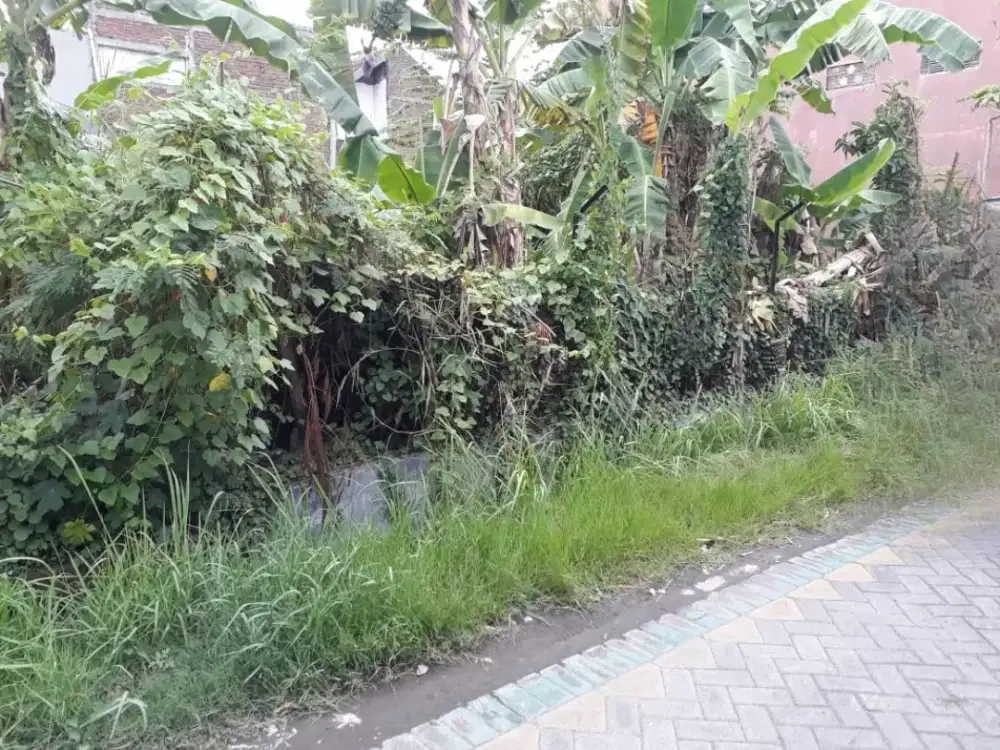 JUAL CEPAT!! TANAH MEDOKAN SEMAMPIR
