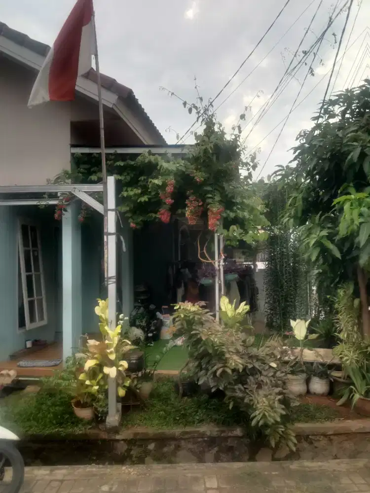 Jual cas rumah hook rajeg