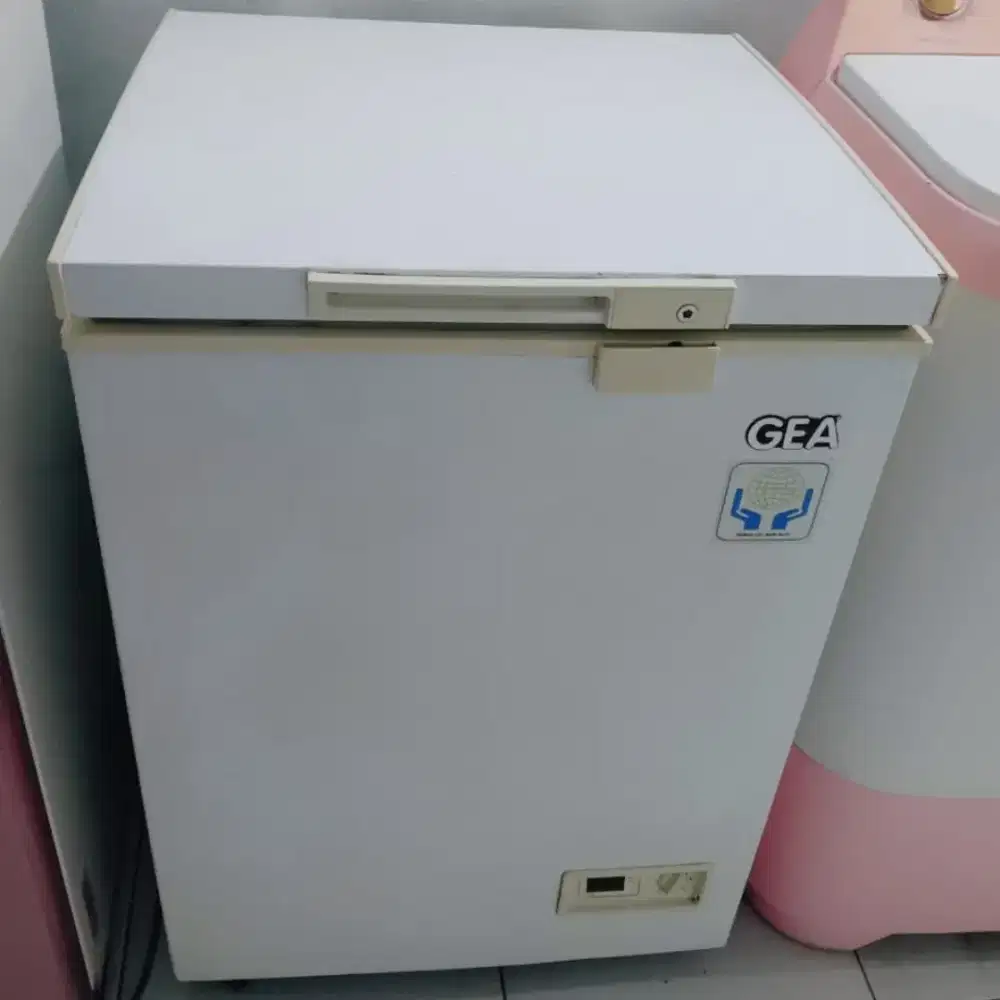 Freezer Box GEA 100 Liter