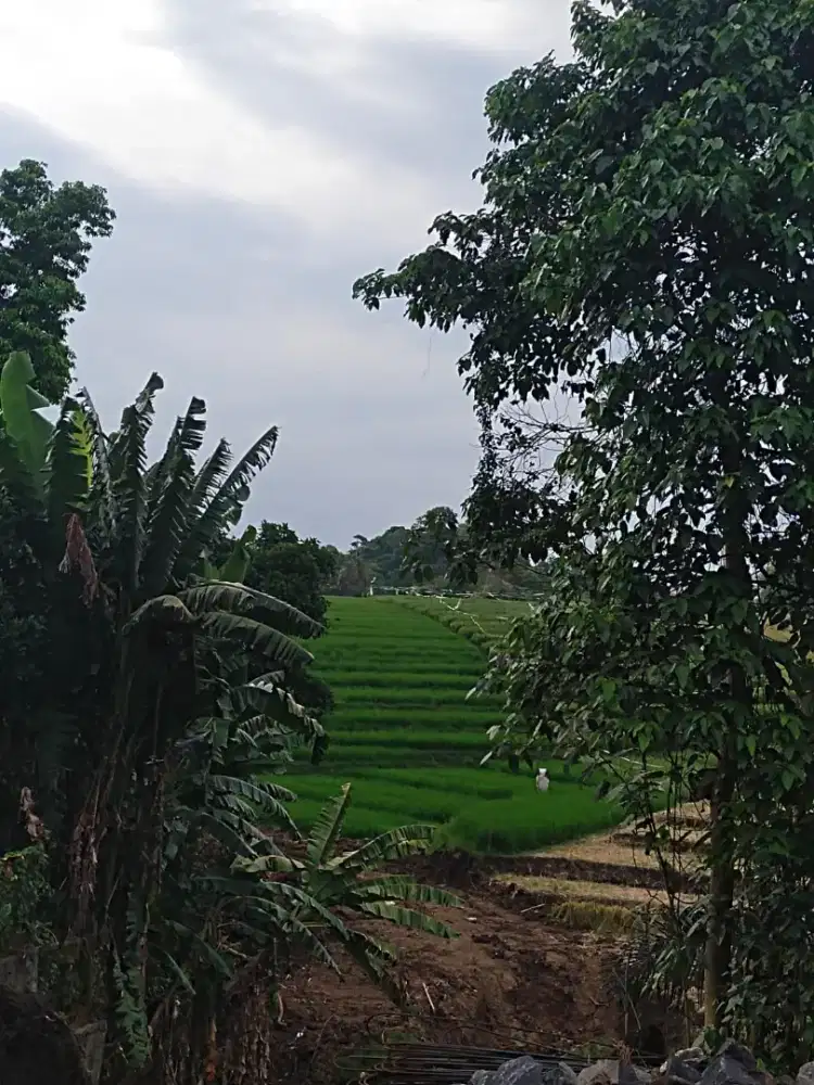 For rent land on gangga beach