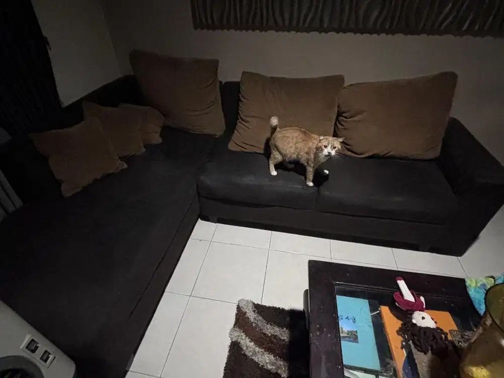 SOFA HITAM 1 SET