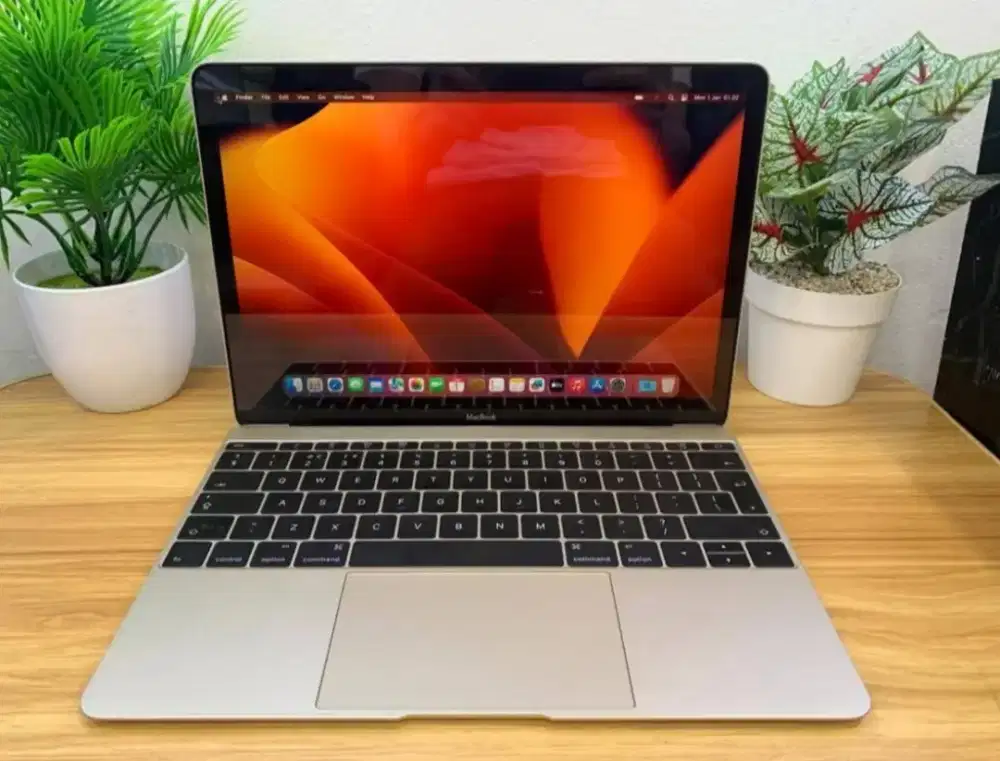 New MacBook Core M 2017
Ram 8Gb 
SSD 256Gb
CC 465 Normal