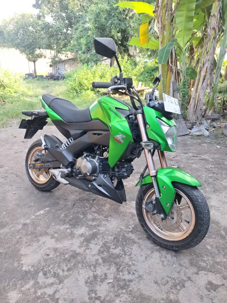 Kawasaki Z125 pro