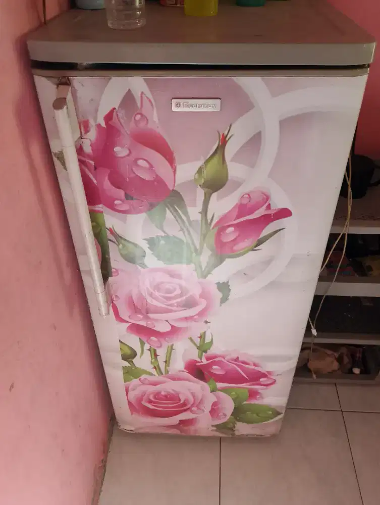 Dijual kulkas pintu 1 merk ELECTROLUX mesin ORGINAL