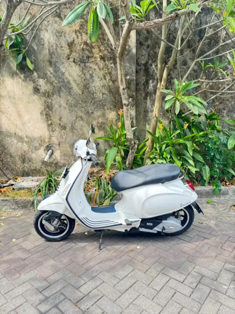 Vespa primavera mulus banget