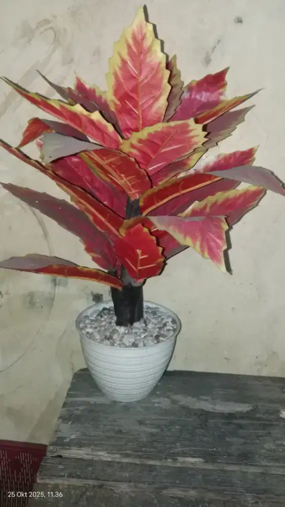 HIASAN KEMBANG MATI