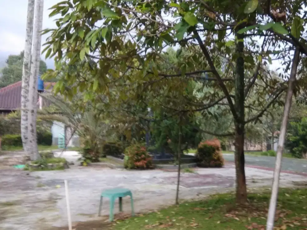 lokasi. dari. Bogor. via. perm.  Bnr. hnya.  15. menit.  anti. macet.