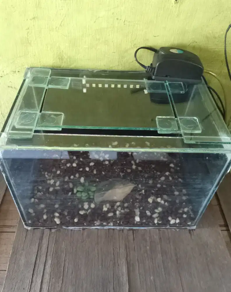 Aquarium Komplit