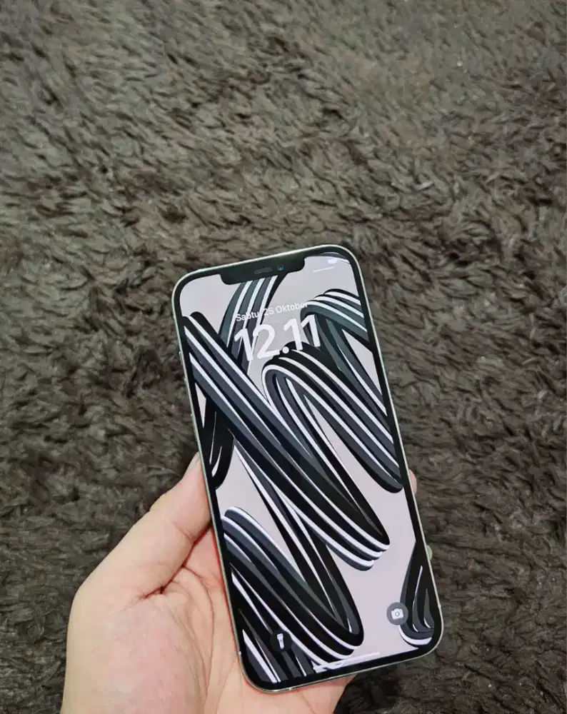 Iphone 12 Pro Max Titanium White