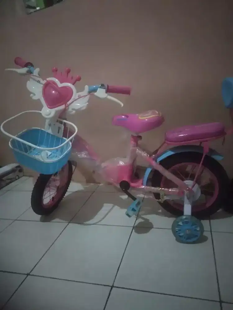 Jual sepeda anak