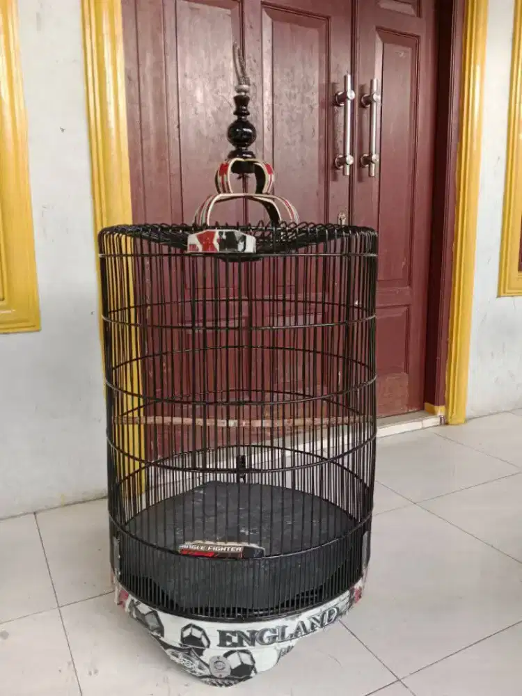 Kandang murai no 3 Ebod jaya klasik list akrilik decal fulset 500 k