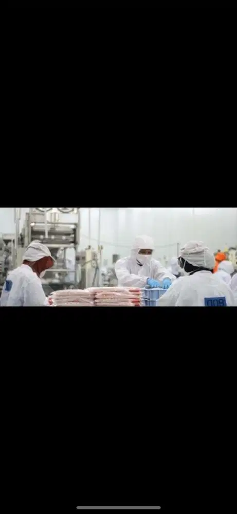 Di cari helper di tim produksi frozen food non halal