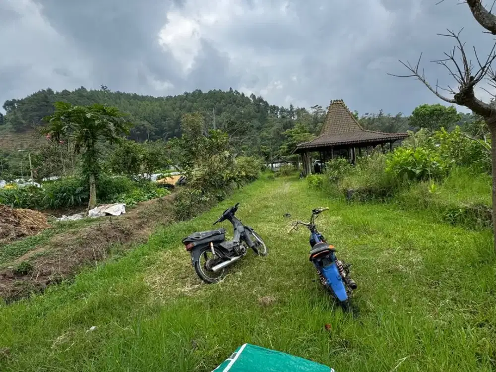 DIJUAL TANAH DI KOTA BATU