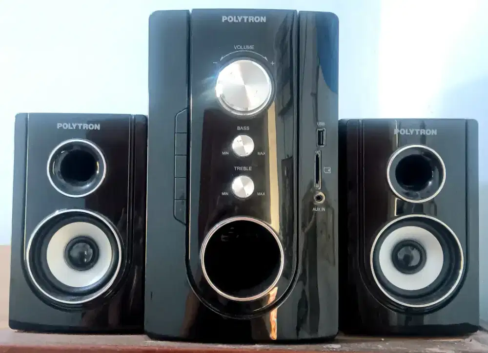 Speaker Polytron