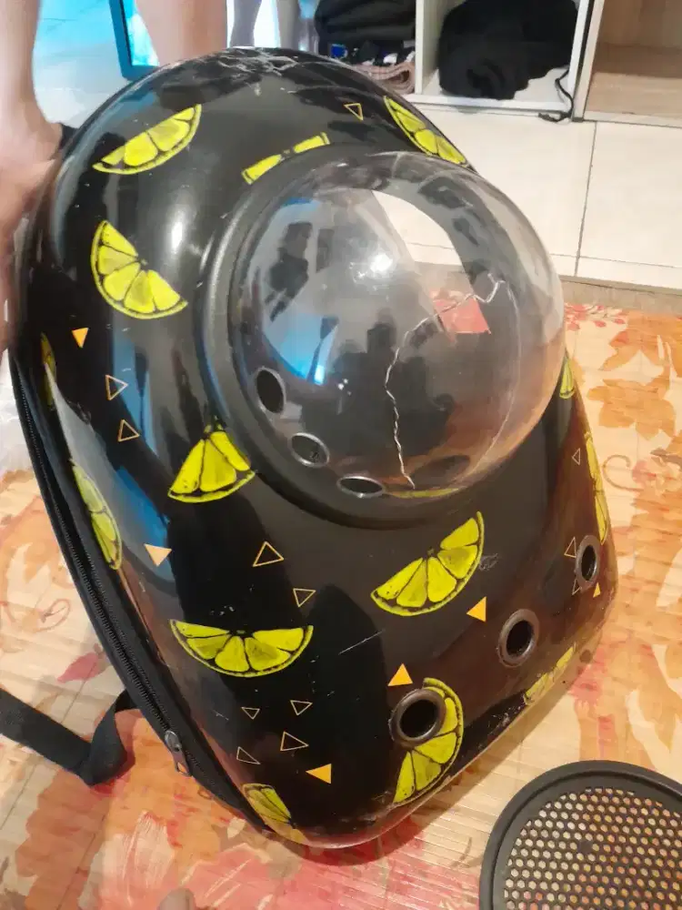 Tas travel untuk bawa kucing