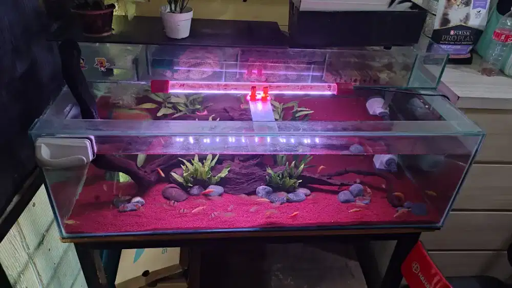 Aquarium 100x50x40 fulset tinggal colok dan rak