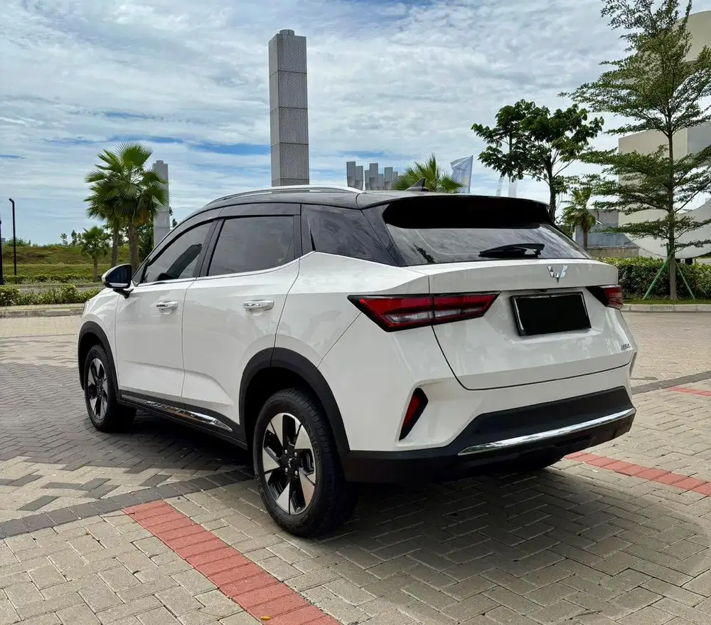 Milik Pribadi-Wuling Alvez EX 2023 Bensin