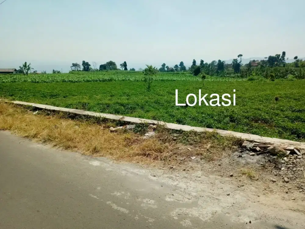 Jual Tanah Murah Pinggir jalan desa cocok buat ngadem bikin villa