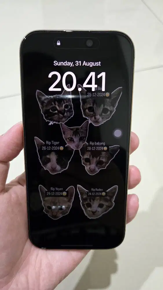 iPhone 16 Pro 256GB – Garansi Blibli s.d. Mei 2026 – Mulus