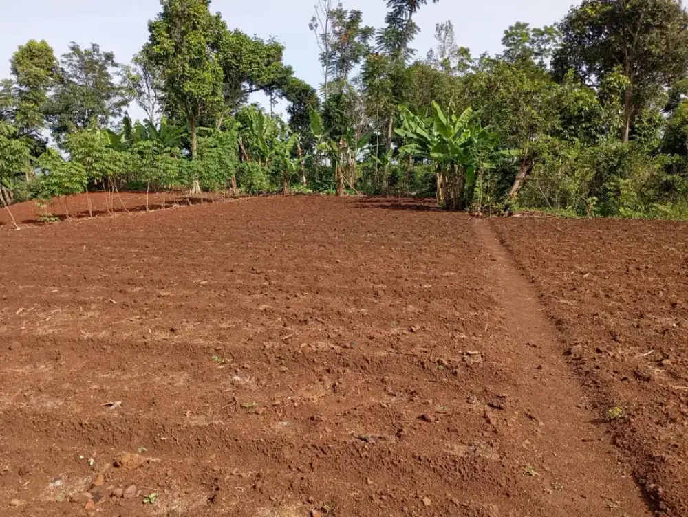 Jual Tanah murah pinggir jalan desa view indah cocok buat bikin villa