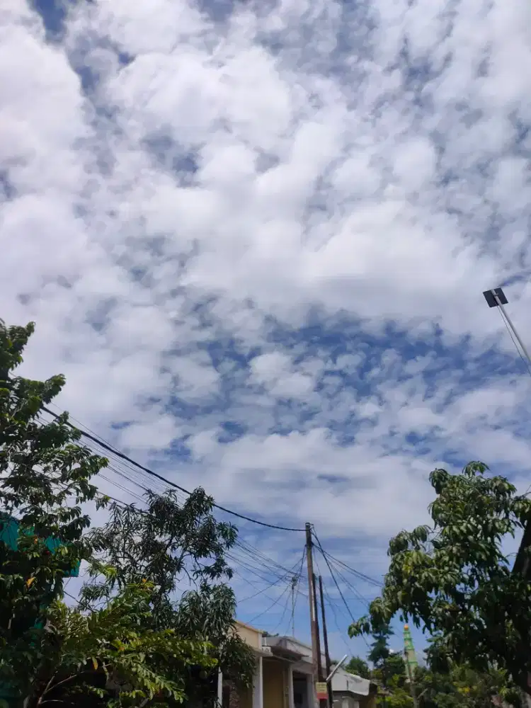 Butuh Lowongan Pekerjaan