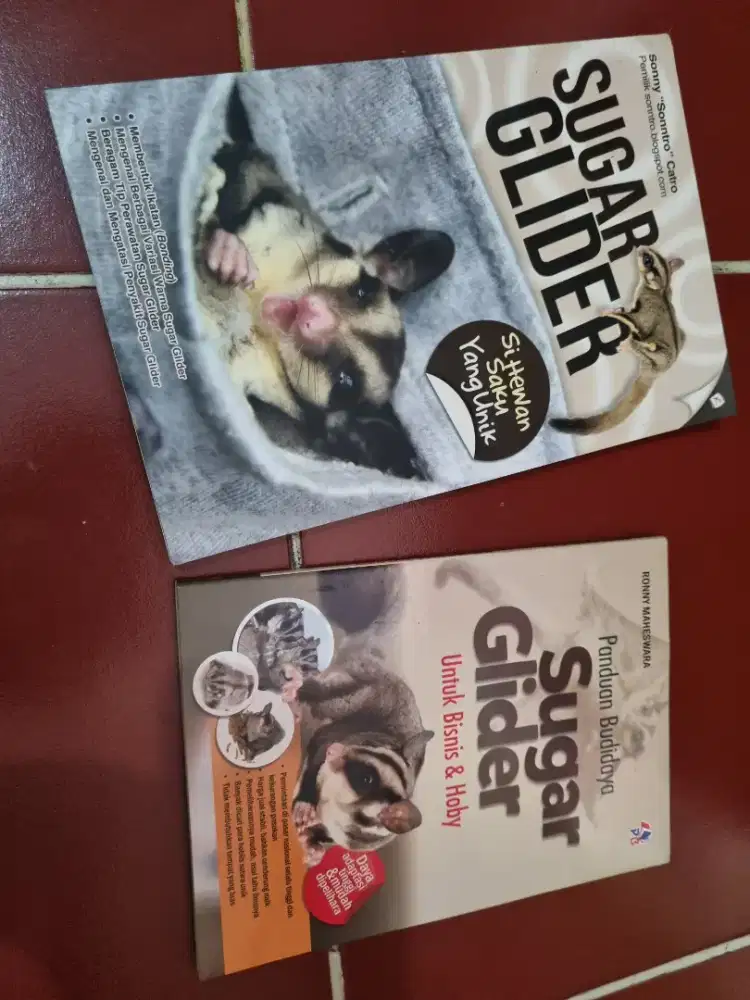 Buku sugar glider