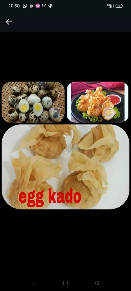 FROZEN FOOD HOMEMADE