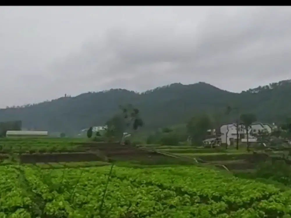 S. Batu, Indragiri.  Sumberejo. lahan siap bangun