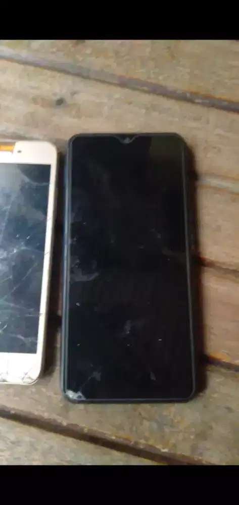 Vivo mati total