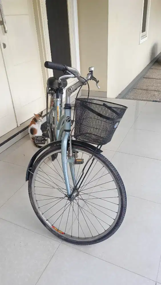 Polygon ladies Sierra DX uk 26 istimewa + Keranjang + Boncengan