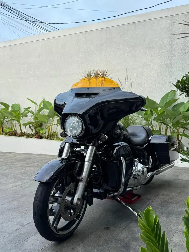 Street Glide Special 2015 Rushmore