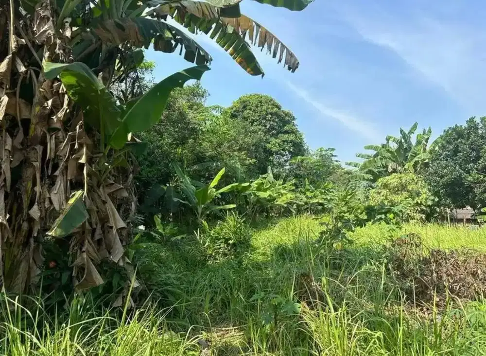 Tahan cikarang barat (cikedokan)