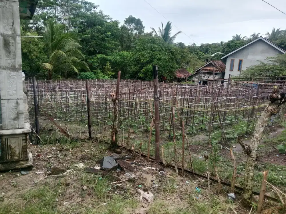 Di jual tanah 15x30