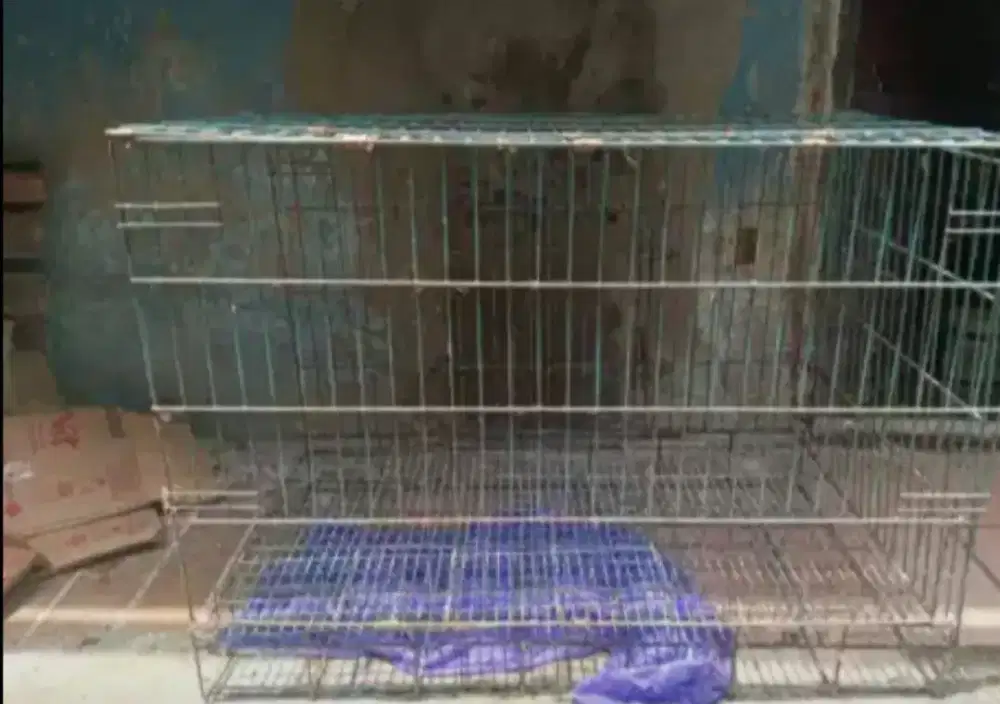 Kandang lipat kucing