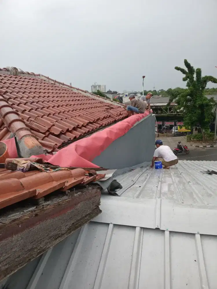 Tukang serba bisa
