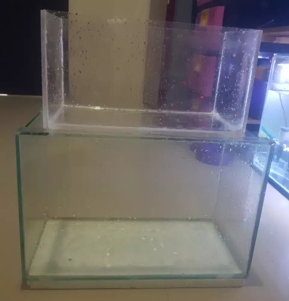 Akuarium ikan aquarium aquascape