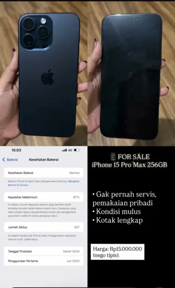iPhone 15 Pro Max  256 GB mulus