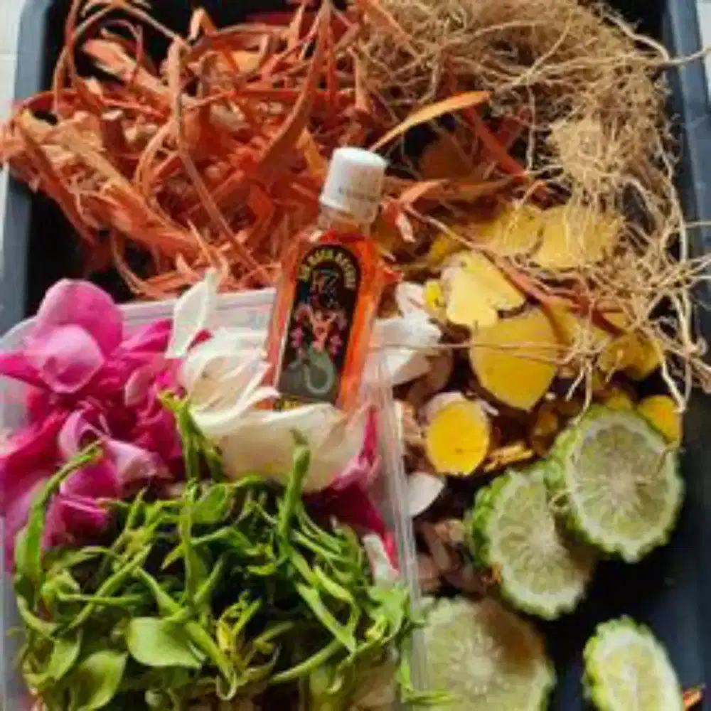 Kembang mandi uap( macan kera )