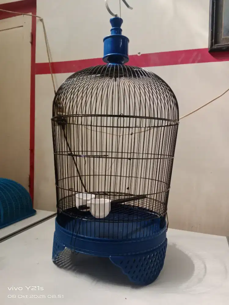 sangkar perkutut besi